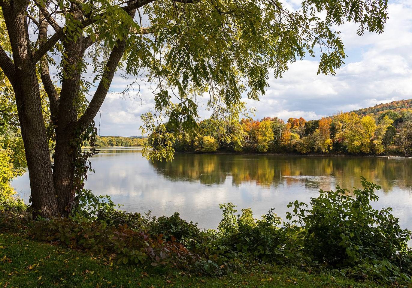River framed by a tree with early fall colors, photo by Karen Dinan